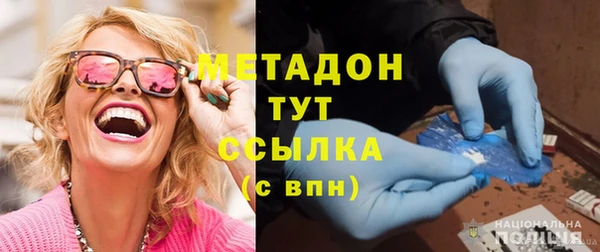 сатива Аркадак