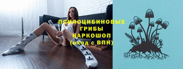 сатива Аркадак