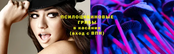 прущие крисы Арсеньев