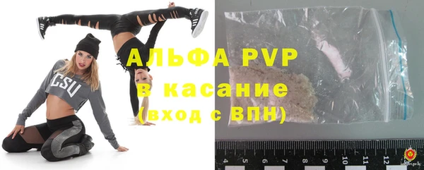 сатива Аркадак
