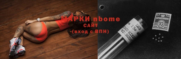 сатива Аркадак