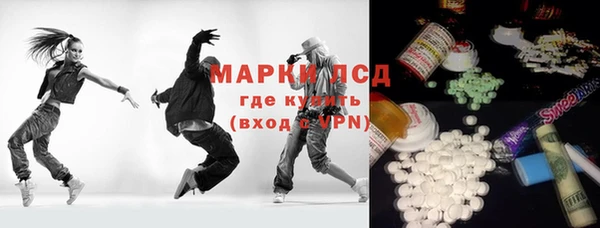 сатива Аркадак