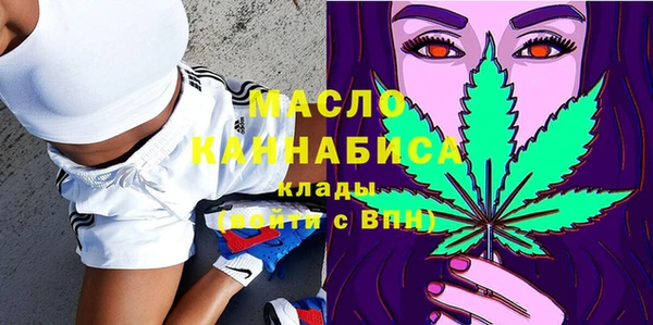 сатива Аркадак