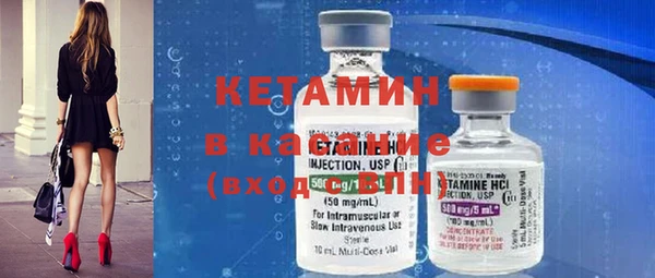 сатива Аркадак