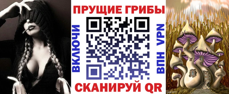 Псилоцибиновые грибы мицелий Ленинск-Кузнецкий