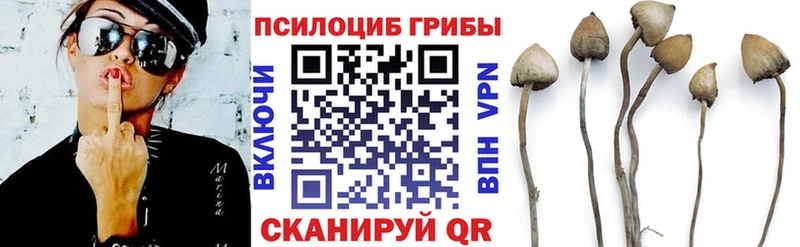 Галлюциногенные грибы Magic Shrooms  купить закладку  Ленинск-Кузнецкий 